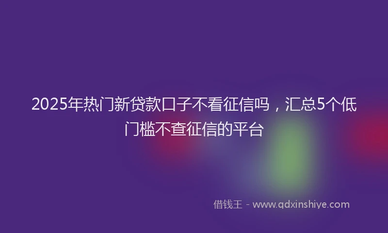 2025年热门新贷款口子不看征信吗，汇总5个低门槛不查征信的平台