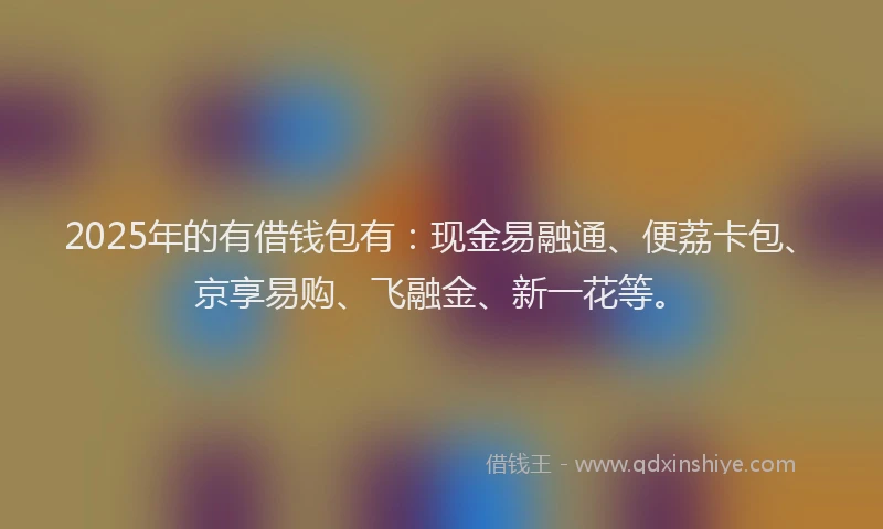 2025年的有借钱包有：现金易融通、便荔卡包、京享易购、飞融金、新一花等。
