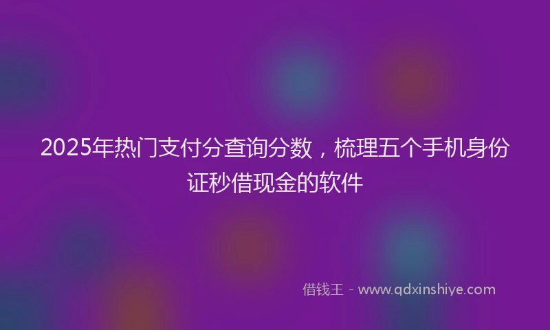 2025年热门支付分查询分数，梳理五个手机身份证秒借现金的软件