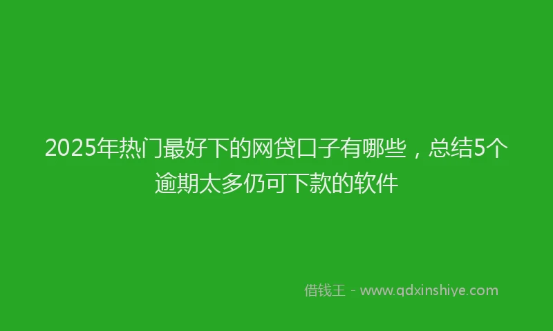 2025年热门最好下的网贷口子有哪些，总结5个逾期太多仍可下款的软件