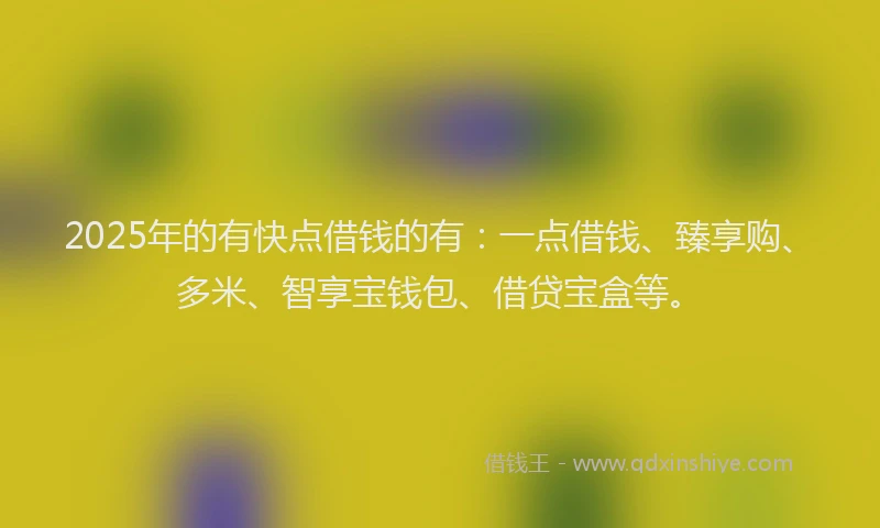 2025年的有快点借钱的有：一点借钱、臻享购、多米、智享宝钱包、借贷宝盒等。