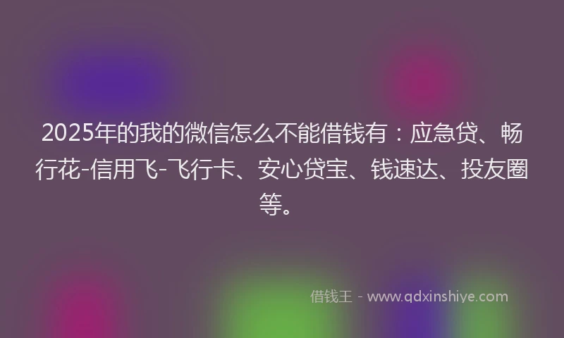 2025年的我的微信怎么不能借钱有：应急贷、畅行花-信用飞-飞行卡、安心贷宝、钱速达、投友圈等。