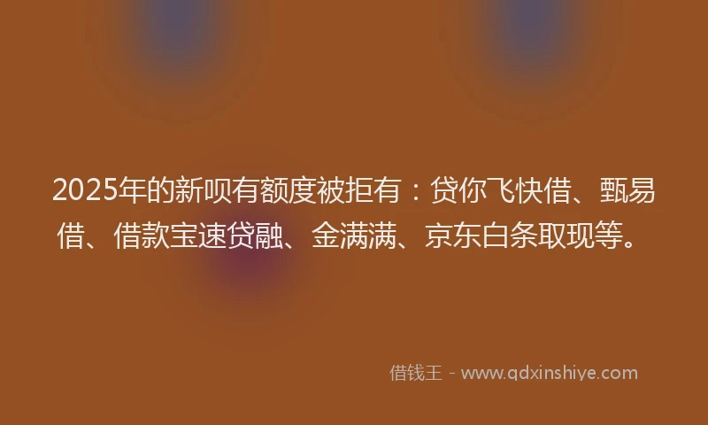 2025年的新呗有额度被拒有：贷你飞快借、甄易借、借款宝速贷融、金满满、京东白条取现等。