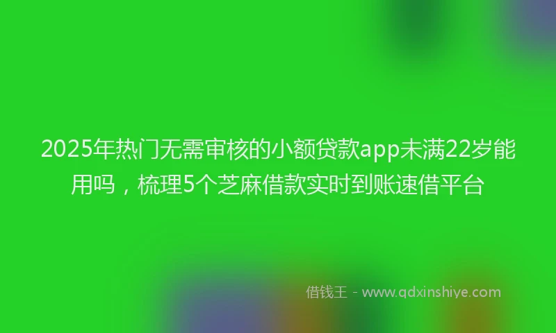 2025年热门无需审核的小额贷款app未满22岁能用吗，梳理5个芝麻借款实时到账速借平台
