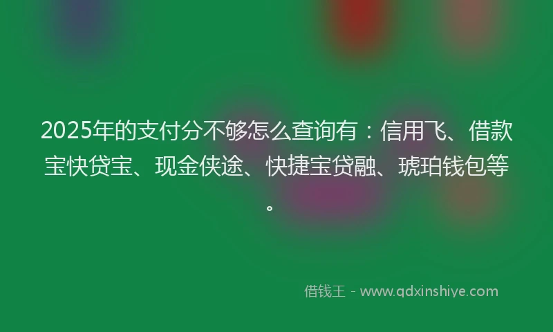 2025年的支付分不够怎么查询有：信用飞、借款宝快贷宝、现金侠途、快捷宝贷融、琥珀钱包等。