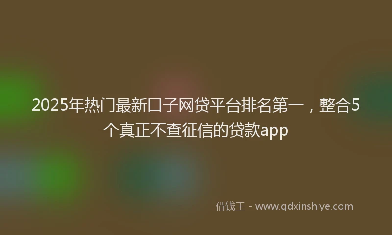 2025年热门最新口子网贷平台排名第一，整合5个真正不查征信的贷款app