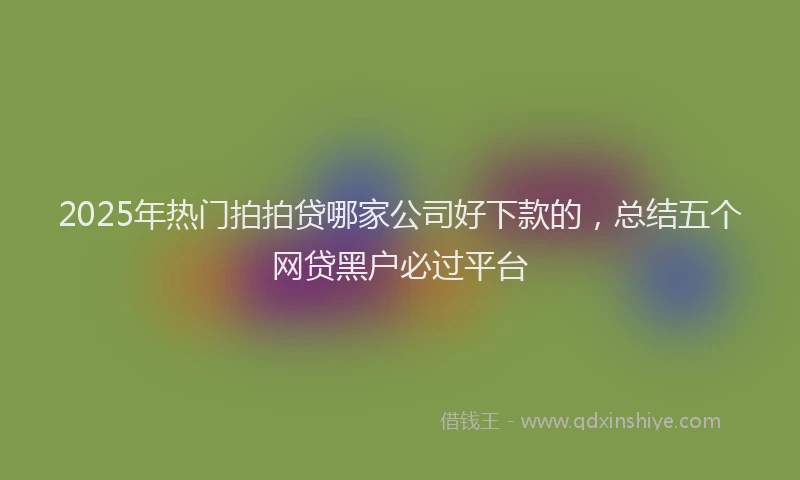 2025年热门拍拍贷哪家公司好下款的，总结五个网贷黑户必过平台