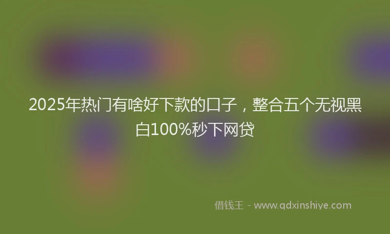 2025年热门有啥好下款的口子，整合五个无视黑白100%秒下网贷