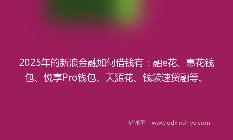2025年的新浪金融如何借钱有：融e花、惠花钱包、悦享Pro钱包、天源花、钱袋速贷融等。