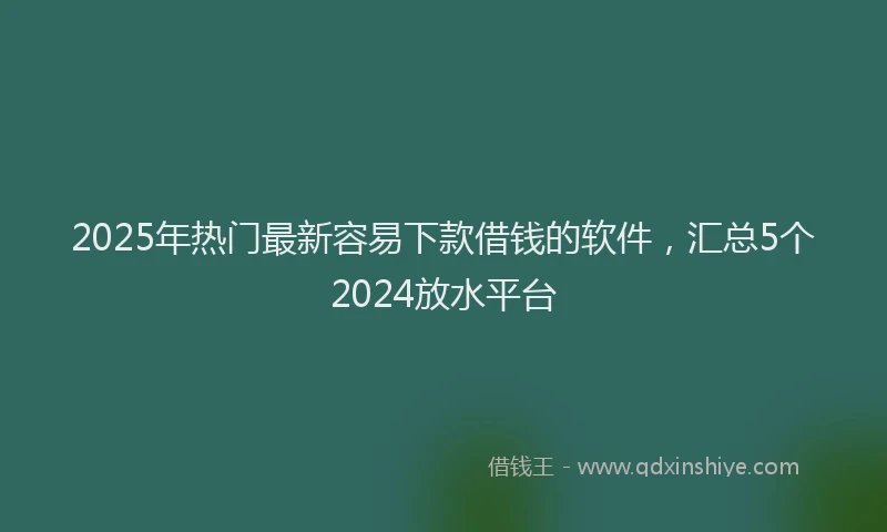 2025年热门最新容易下款借钱的软件，汇总5个2024放水平台