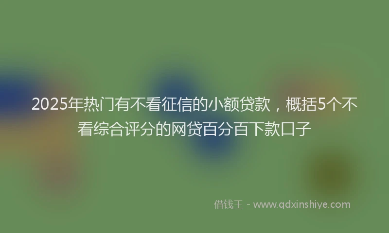 2025年热门有不看征信的小额贷款，概括5个不看综合评分的网贷百分百下款口子