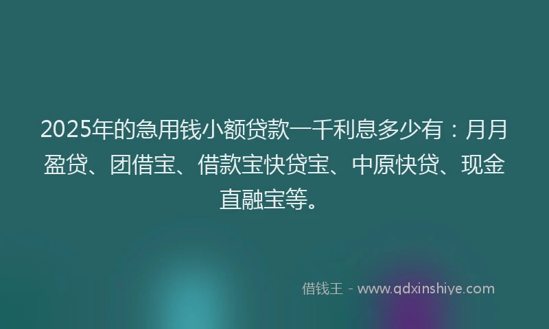 2025年的急用钱小额贷款一千利息多少有：月月盈贷、团借宝、借款宝快贷宝、中原快贷、现金直融宝等。