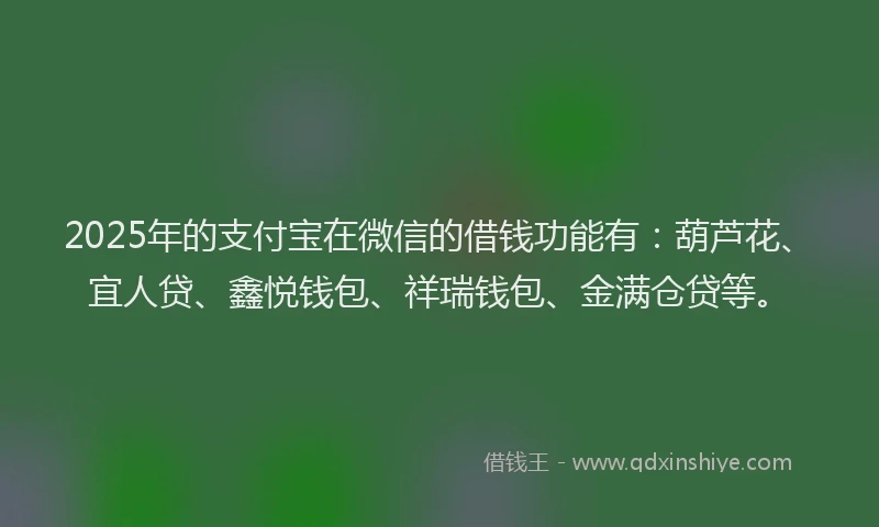 2025年的支付宝在微信的借钱功能有：葫芦花、宜人贷、鑫悦钱包、祥瑞钱包、金满仓贷等。