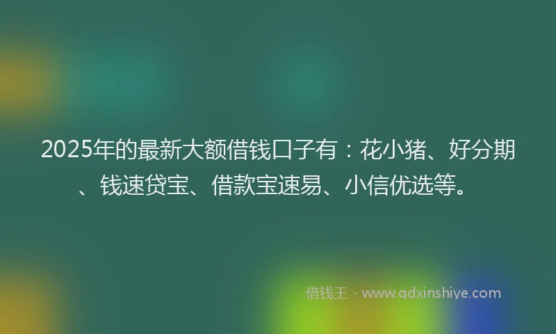 2025年的最新大额借钱口子有：花小猪、好分期、钱速贷宝、借款宝速易、小信优选等。