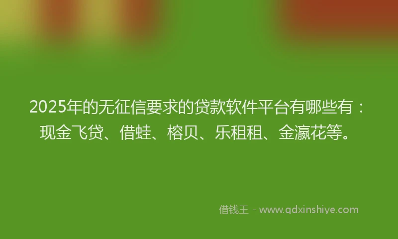 2025年的无征信要求的贷款软件平台有哪些有：现金飞贷、借蛙、榕贝、乐租租、金瀛花等。