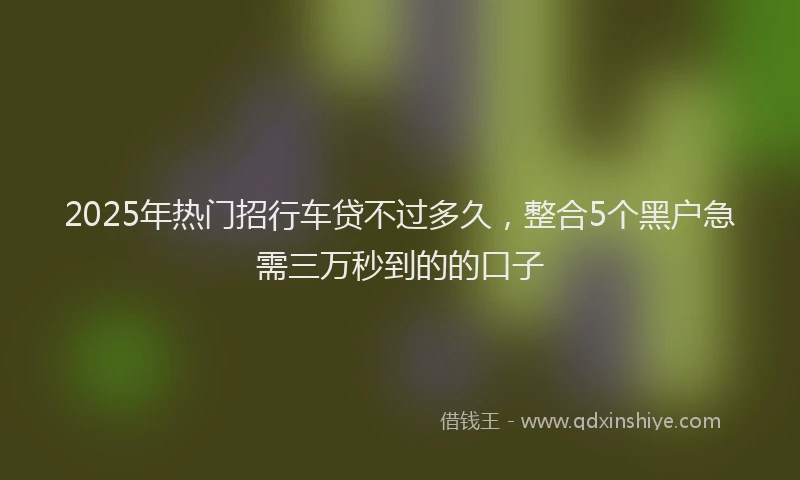 2025年热门招行车贷不过多久，整合5个黑户急需三万秒到的的口子