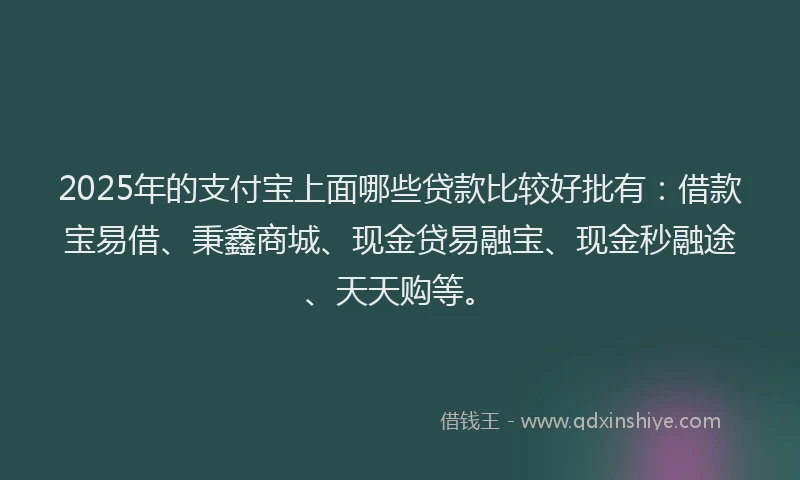 2025年的支付宝上面哪些贷款比较好批有：借款宝易借、秉鑫商城、现金贷易融宝、现金秒融途、天天购等。