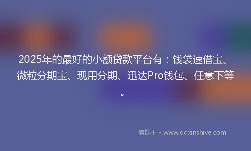 2025年的最好的小额贷款平台有：钱袋速借宝、微粒分期宝、现用分期、迅达Pro钱包、任意下等。