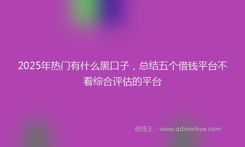 2025年热门有什么黑口子，总结五个借钱平台不看综合评估的平台