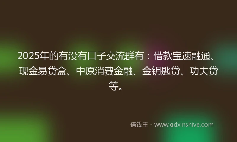 2025年的有没有口子交流群有：借款宝速融通、现金易贷盒、中原消费金融、金钥匙贷、功夫贷等。