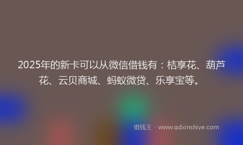 2025年的新卡可以从微信借钱有：桔享花、葫芦花、云贝商城、蚂蚁微贷、乐享宝等。