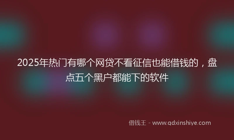 2025年热门有哪个网贷不看征信也能借钱的，盘点五个黑户都能下的软件
