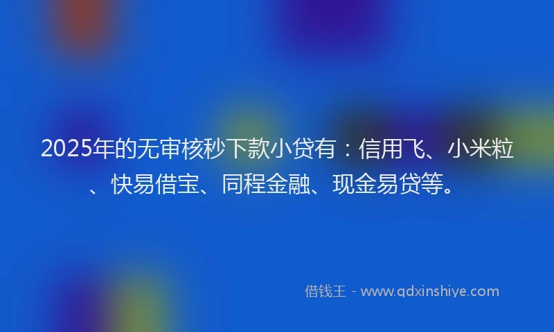 2025年的无审核秒下款小贷有：信用飞、小米粒、快易借宝、同程金融、现金易贷等。
