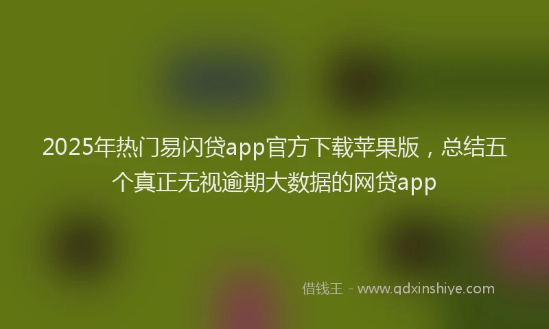2025年热门易闪贷app官方下载苹果版，总结五个真正无视逾期大数据的网贷app