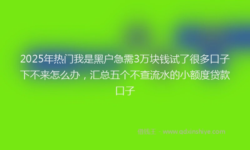 2025年热门我是黑户急需3万块钱试了很多口子下不来怎么办，汇总五个不查流水的小额度贷款口子