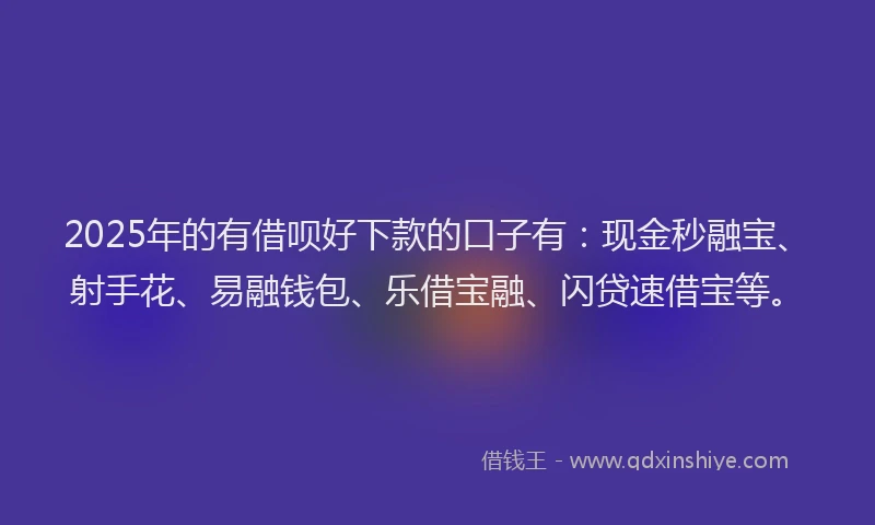 2025年的有借呗好下款的口子有：现金秒融宝、射手花、易融钱包、乐借宝融、闪贷速借宝等。