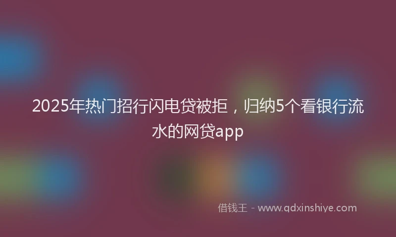 2025年热门招行闪电贷被拒，归纳5个看银行流水的网贷app