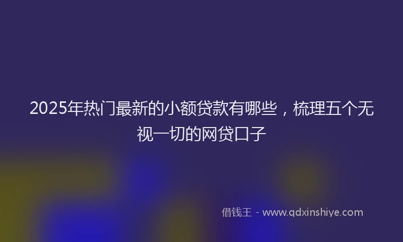 2025年热门最新的小额贷款有哪些，梳理五个无视一切的网贷口子