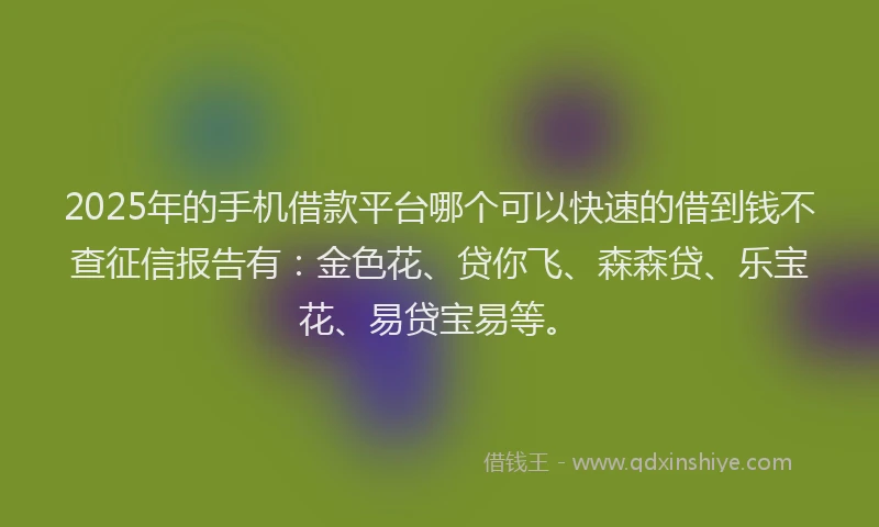 2025年的手机借款平台哪个可以快速的借到钱不查征信报告有：金色花、贷你飞、森森贷、乐宝花、易贷宝易等。