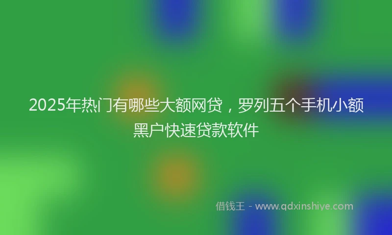 2025年热门有哪些大额网贷，罗列五个手机小额黑户快速贷款软件
