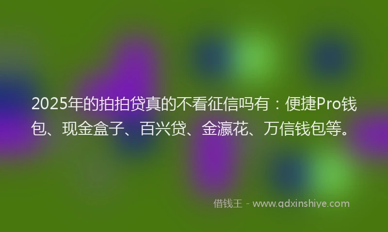 2025年的拍拍贷真的不看征信吗有：便捷Pro钱包、现金盒子、百兴贷、金瀛花、万信钱包等。
