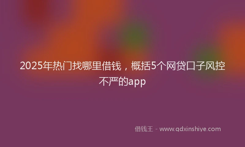 2025年热门找哪里借钱，概括5个网贷口子风控不严的app