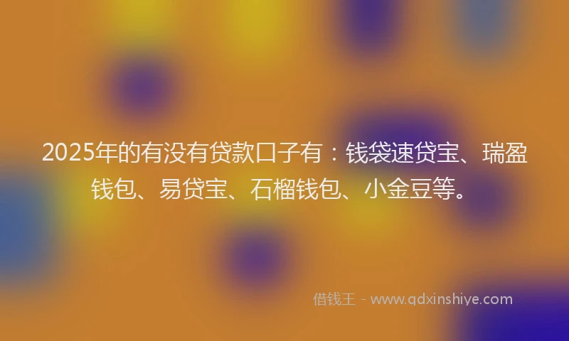 2025年的有没有贷款口子有：钱袋速贷宝、瑞盈钱包、易贷宝、石榴钱包、小金豆等。