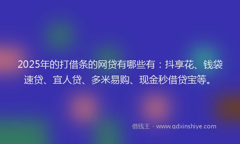 2025年的打借条的网贷有哪些有：抖享花、钱袋速贷、宜人贷、多米易购、现金秒借贷宝等。