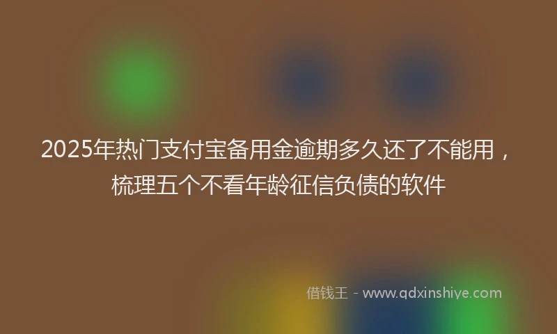 2025年热门支付宝备用金逾期多久还了不能用，梳理五个不看年龄征信负债的软件
