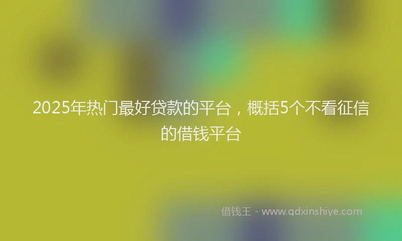 2025年热门最好贷款的平台，概括5个不看征信的借钱平台