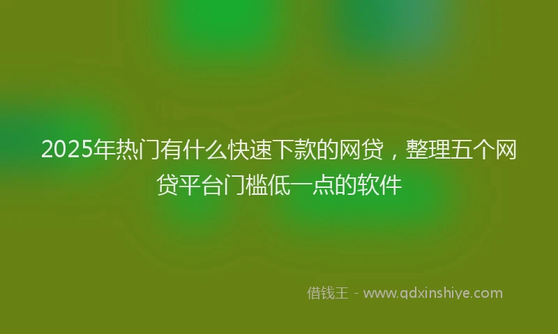 2025年热门有什么快速下款的网贷，整理五个网贷平台门槛低一点的软件