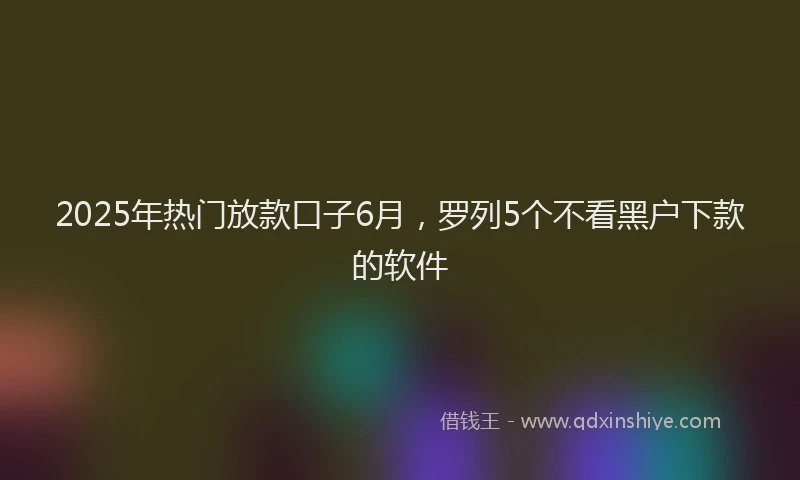 2025年热门放款口子6月，罗列5个不看黑户下款的软件