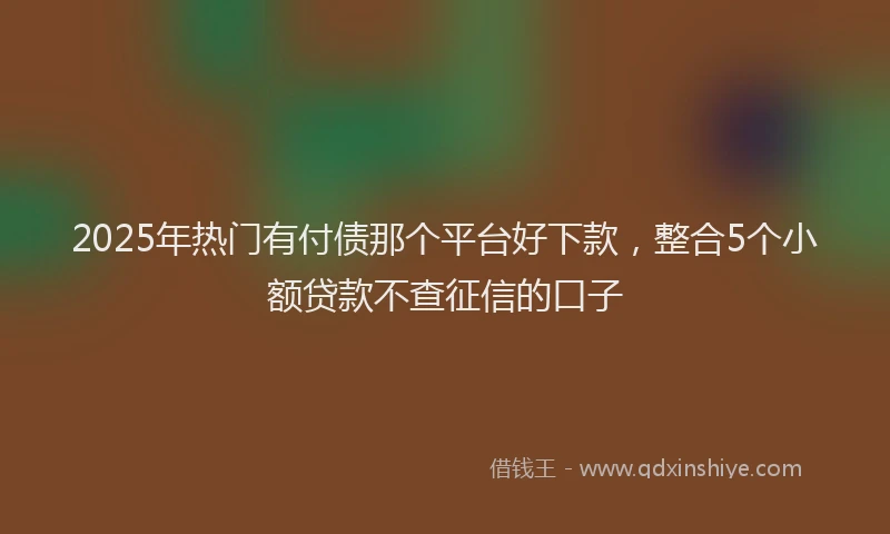 2025年热门有付债那个平台好下款，整合5个小额贷款不查征信的口子