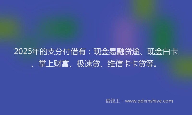 2025年的支分付借有：现金易融贷途、现金白卡、掌上财富、极速贷、维信卡卡贷等。