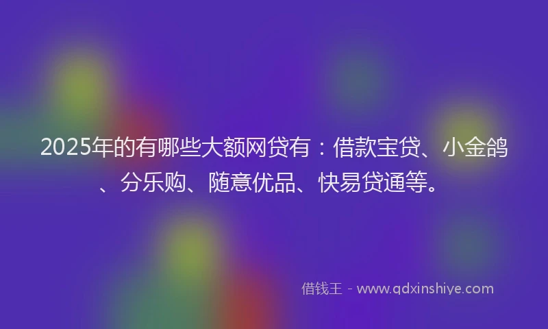 2025年的有哪些大额网贷有：借款宝贷、小金鸽、分乐购、随意优品、快易贷通等。