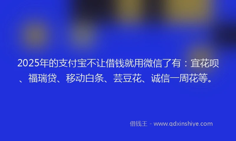2025年的支付宝不让借钱就用微信了有：宜花呗、福瑞贷、移动白条、芸豆花、诚信一周花等。