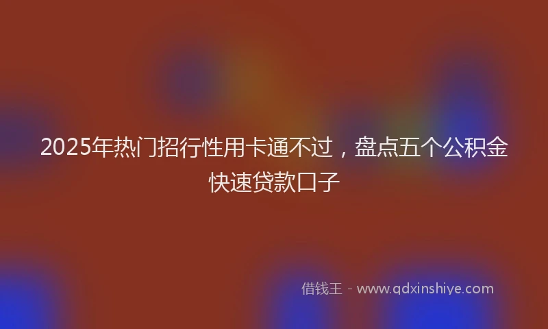 2025年热门招行性用卡通不过，盘点五个公积金快速贷款口子