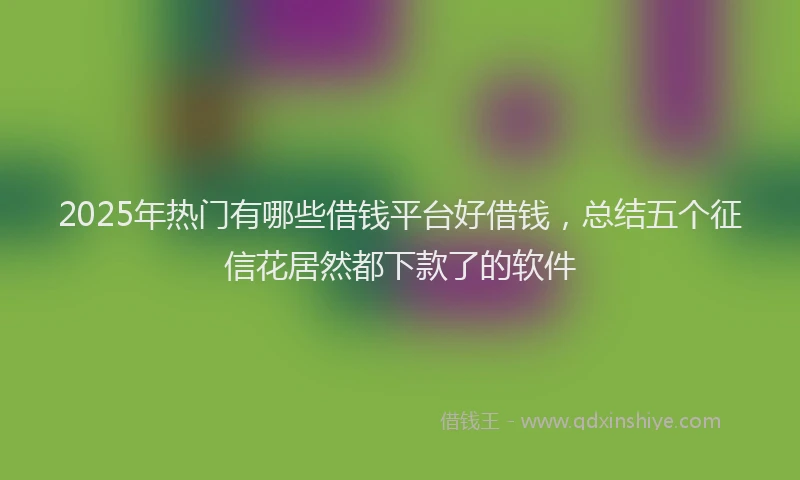 2025年热门有哪些借钱平台好借钱，总结五个征信花居然都下款了的软件