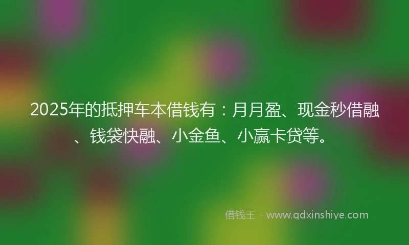 2025年的抵押车本借钱有：月月盈、现金秒借融、钱袋快融、小金鱼、小赢卡贷等。