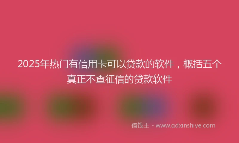 2025年热门有信用卡可以贷款的软件，概括五个真正不查征信的贷款软件